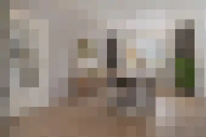 Vogelwikke 91 Emmen thumbnail 19