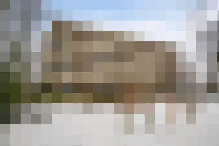 Vogelwikke 91 Emmen foto 2