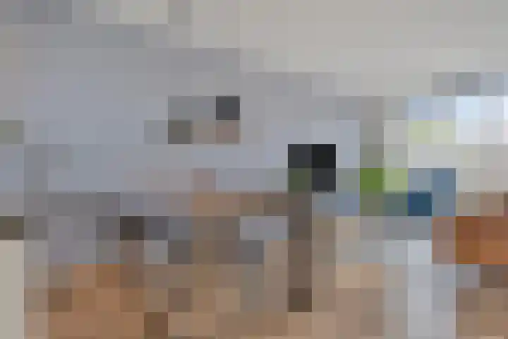Vogelwikke 91 Emmen thumbnail 20