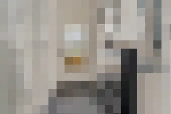 Vogelwikke 91 Emmen thumbnail 24