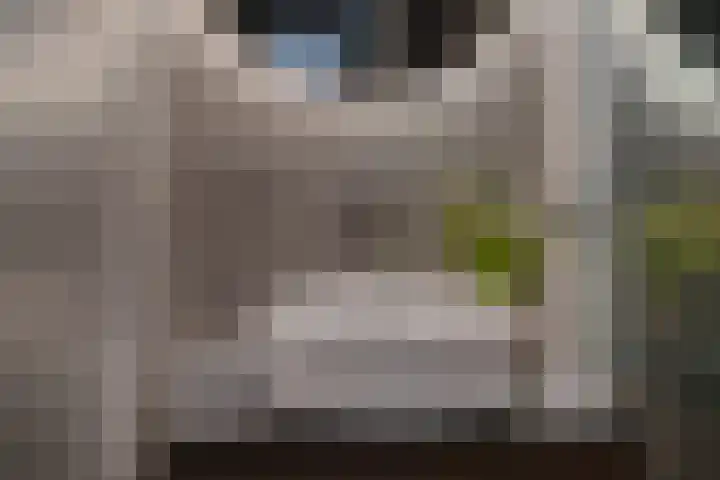 Vogelwikke 91 Emmen thumbnail 33