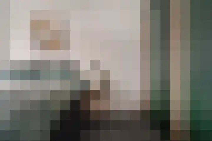 Vogelwikke 91 Emmen thumbnail 37