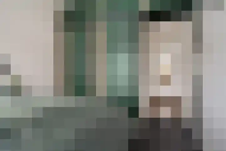 Vogelwikke 91 Emmen thumbnail 38