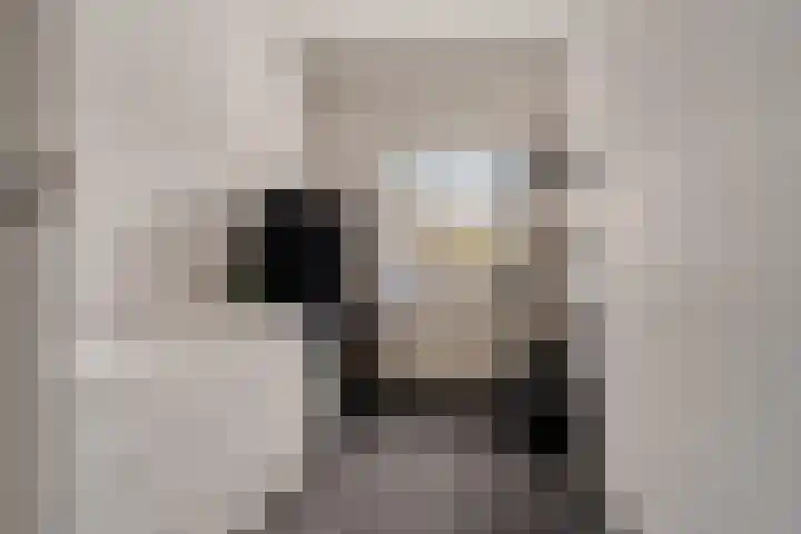 Vogelwikke 91 Emmen thumbnail 39