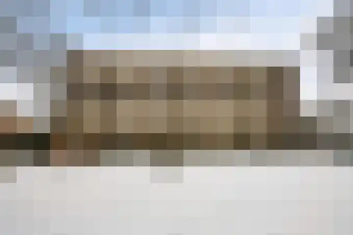 Vogelwikke 91 Emmen thumbnail 41