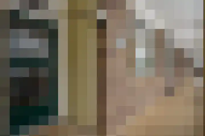 Vogelwikke 91 Emmen thumbnail 45