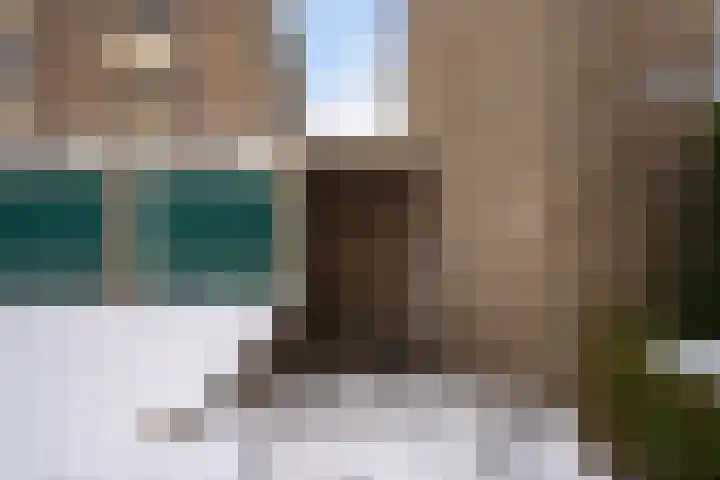 Vogelwikke 91 Emmen thumbnail 47