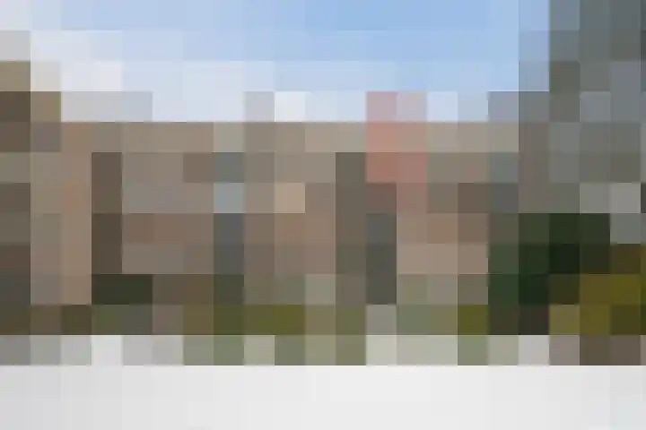 Vogelwikke 91 Emmen thumbnail 48