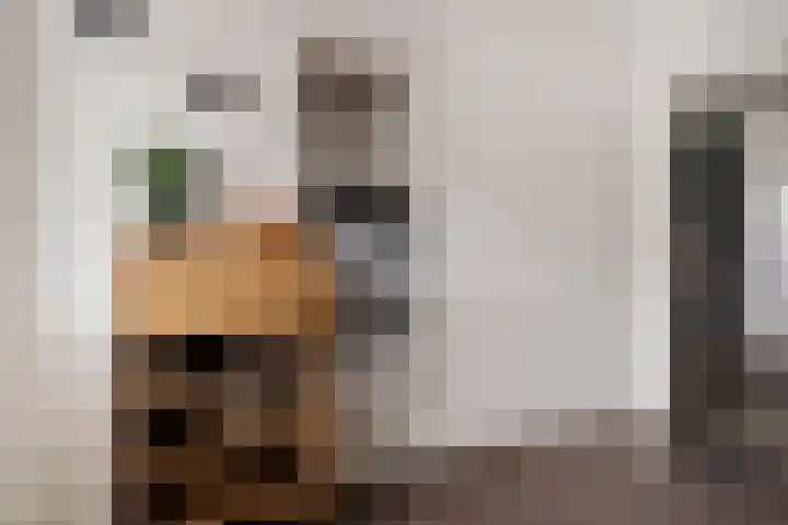 Vogelwikke 91 Emmen thumbnail 8