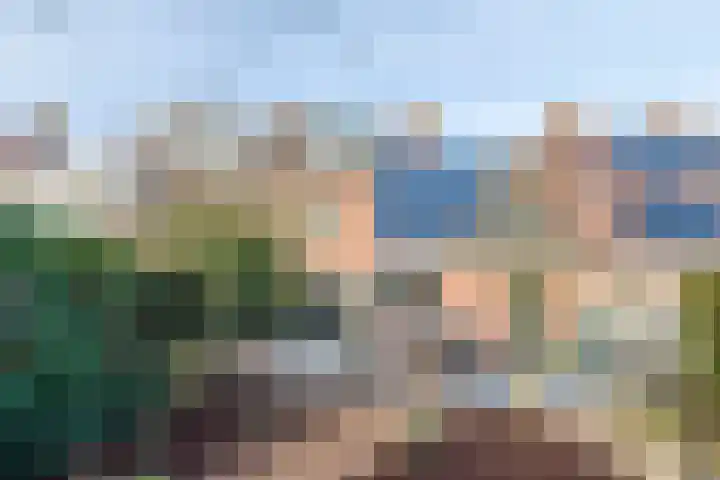 Vogelwikkeveld 16 Woerden thumbnail 29