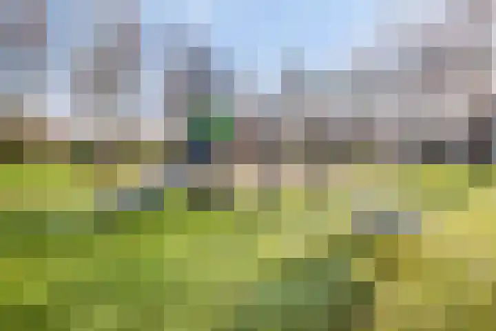 Vogelwikkeveld 16 Woerden thumbnail 37