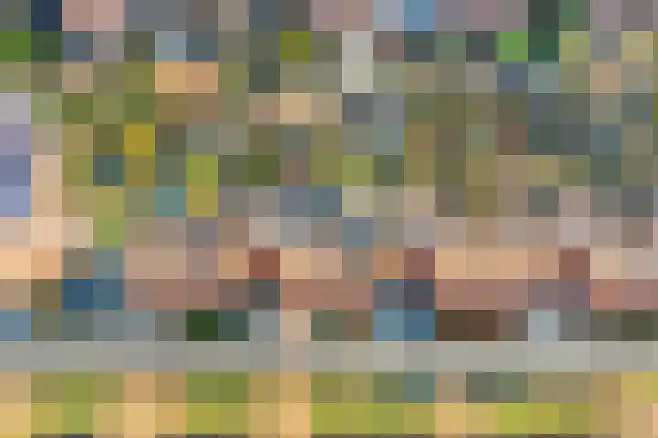 Vogelwikkeveld 16 Woerden thumbnail 39