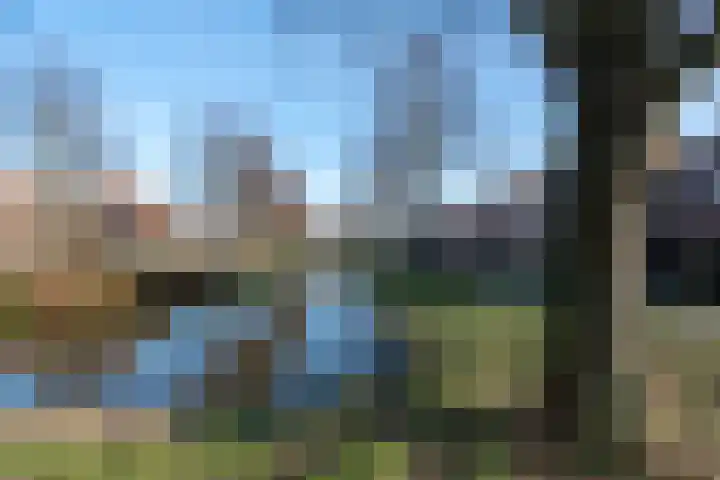 Vogelwikkeveld 16 Woerden thumbnail 41