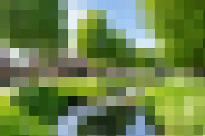 Vogelwikkeveld 20 Woerden