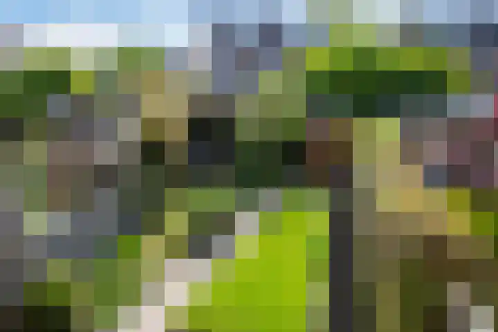 Vogelwikkeveld 20 Woerden thumbnail 25