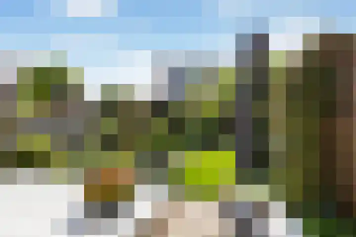 Vogelwikkeveld 20 Woerden thumbnail 27