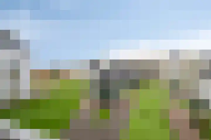 Vogelzand 14 Volendam thumbnail 21