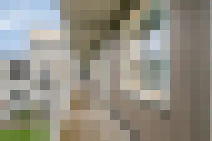 Vogelzand 14 Volendam thumbnail 22