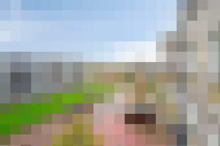 Vogelzand 14 Volendam thumbnail 32