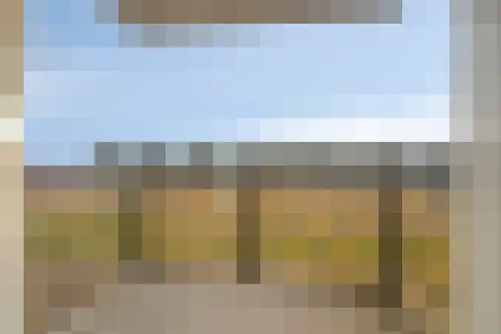 Vogelzand 14 Volendam thumbnail 7
