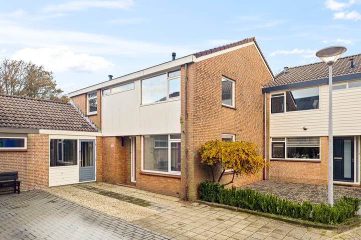 Vogelzand 3628 in Julianadorp foto