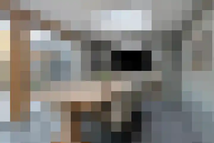Vogelzang 52 Elst thumbnail 28