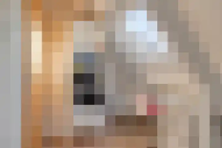 Vogelzang 52 Elst thumbnail 48