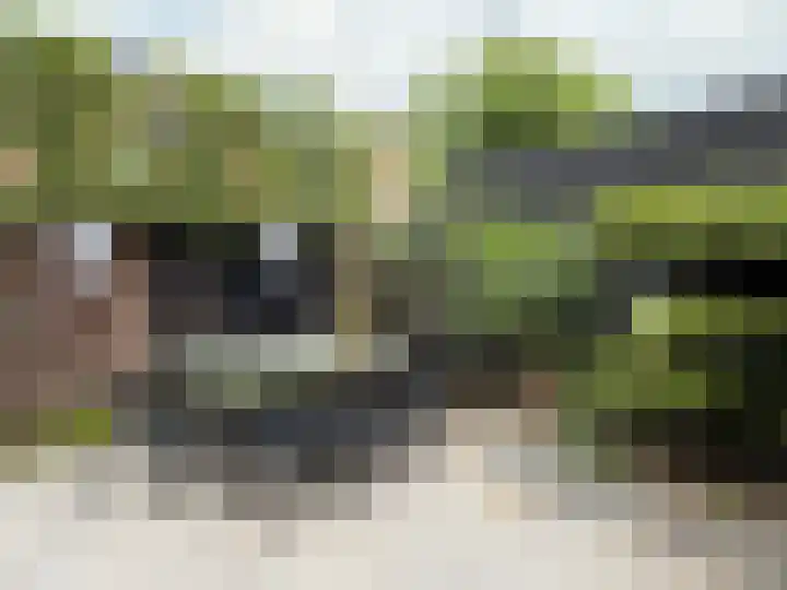 Vogelzang 52 Elst thumbnail 55