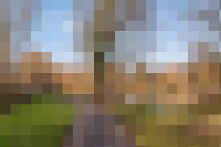Vogelzang 52 Elst thumbnail 57