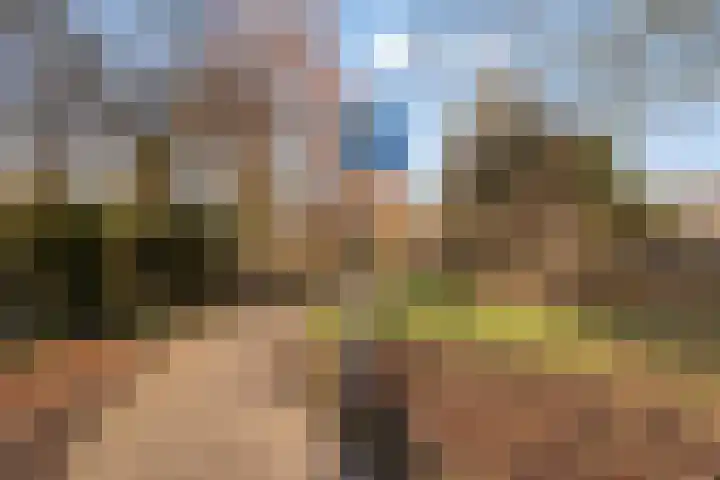 Vogelzang 52 Elst thumbnail 58