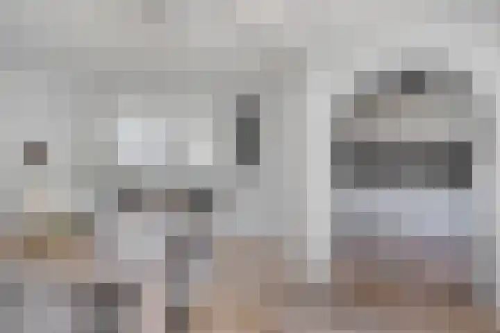 Vogelzang 8 Heino thumbnail 13