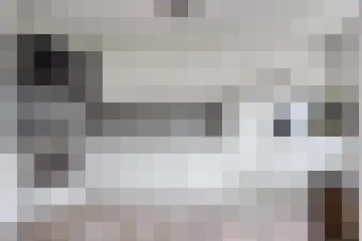 Vogelzang 8 Heino thumbnail 15