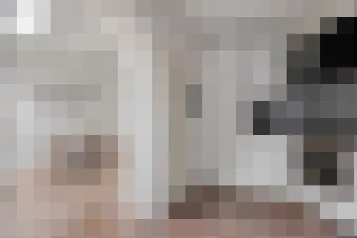 Vogelzang 8 Heino thumbnail 18
