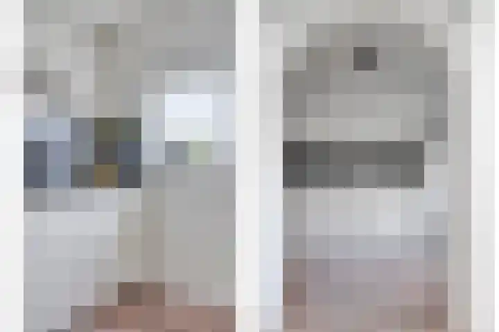 Vogelzang 8 Heino thumbnail 19