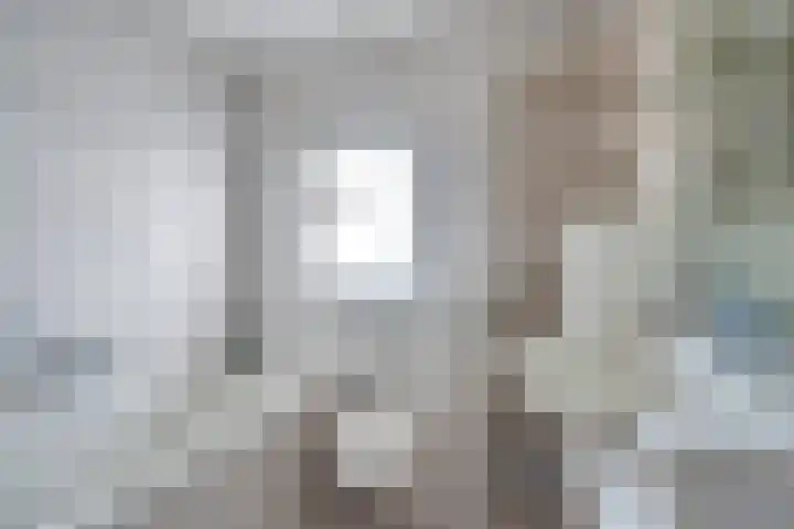 Vogelzang 8 Heino thumbnail 32