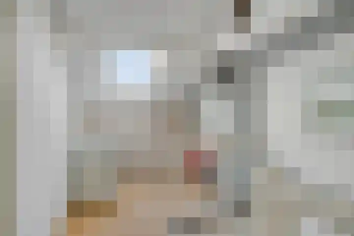Vogelzang 8 Heino thumbnail 36