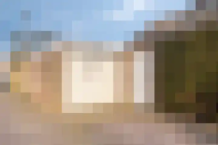 Vogelzang 8 Heino thumbnail 4