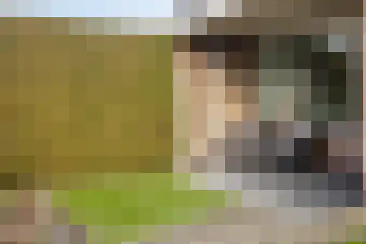 Vogelzang 8 Heino thumbnail 41