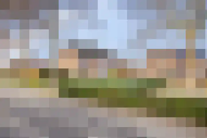 Vogelzang 8 Heino thumbnail 49