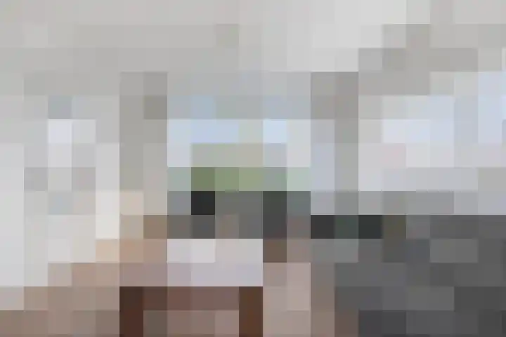 Vogelzang 8 Heino thumbnail 9