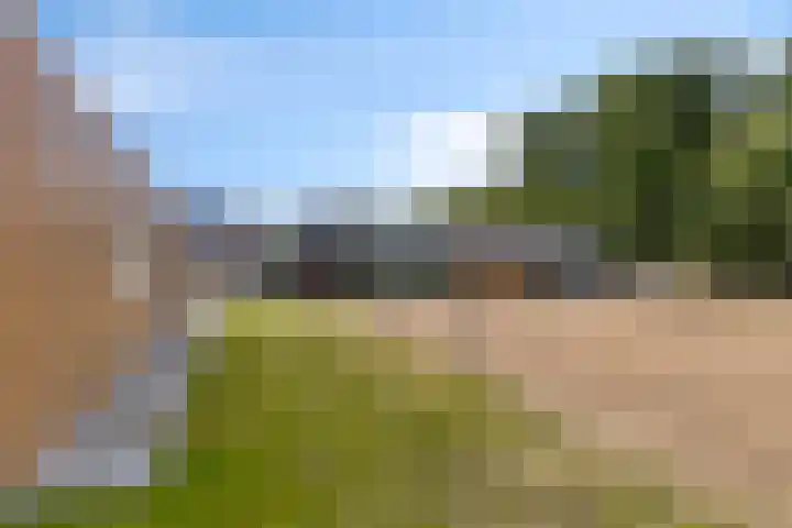 Vogelzangsterweg 3 Scheemda thumbnail 52