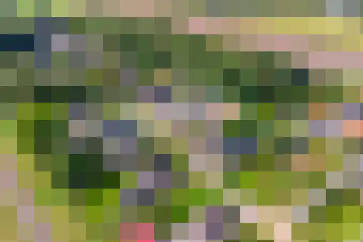 Vogelzangsterweg 3 Scheemda thumbnail 8
