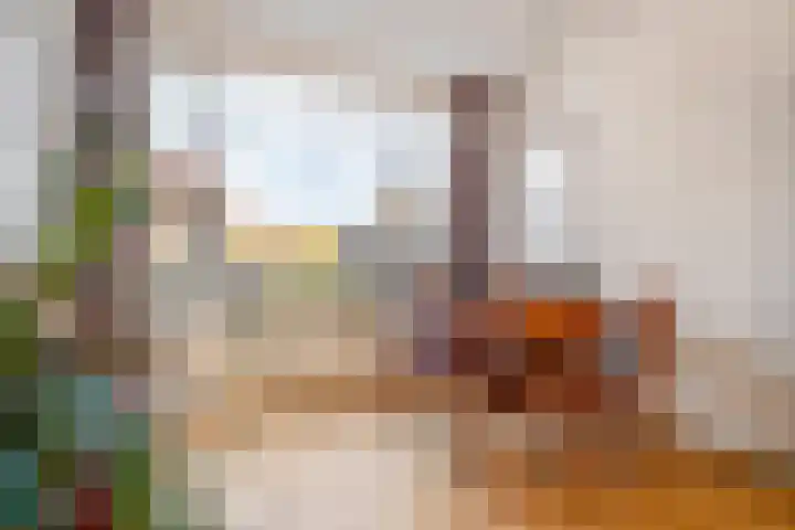 Vogelzangsweg 12 Goes thumbnail 11
