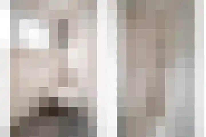 Vogelzangsweg 12 Goes thumbnail 22