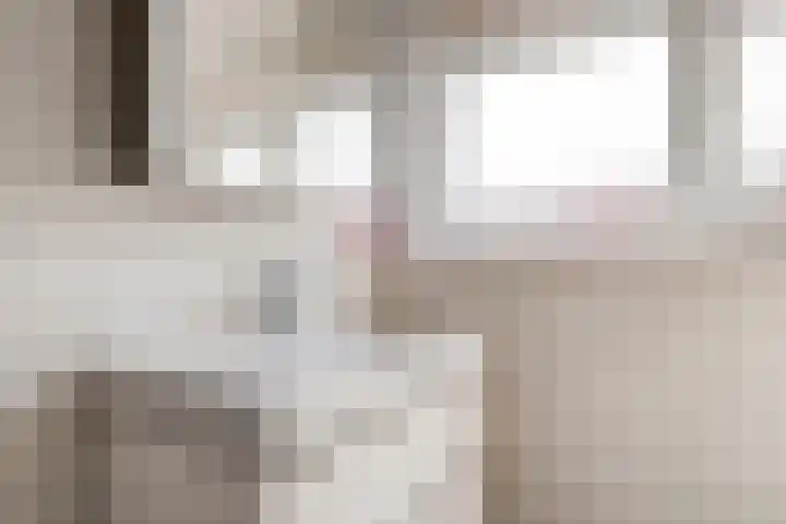 Vogelzangsweg 12 Goes thumbnail 24