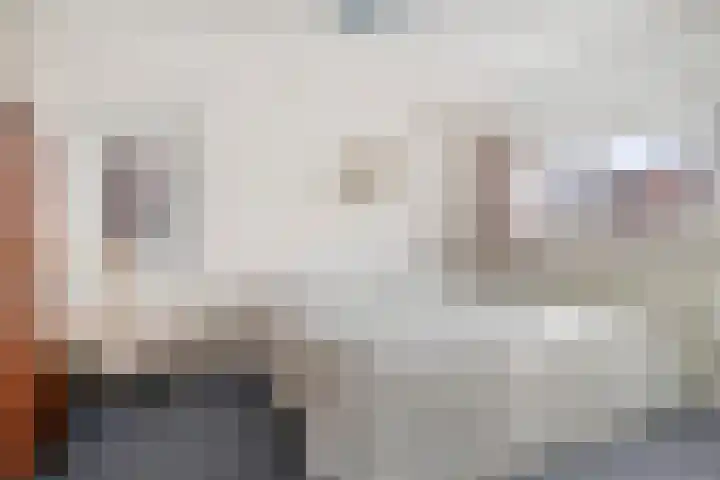 Vogelzangsweg 12 Goes thumbnail 25