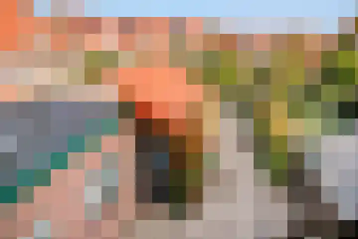 Vogelzangsweg 12 Goes thumbnail 34