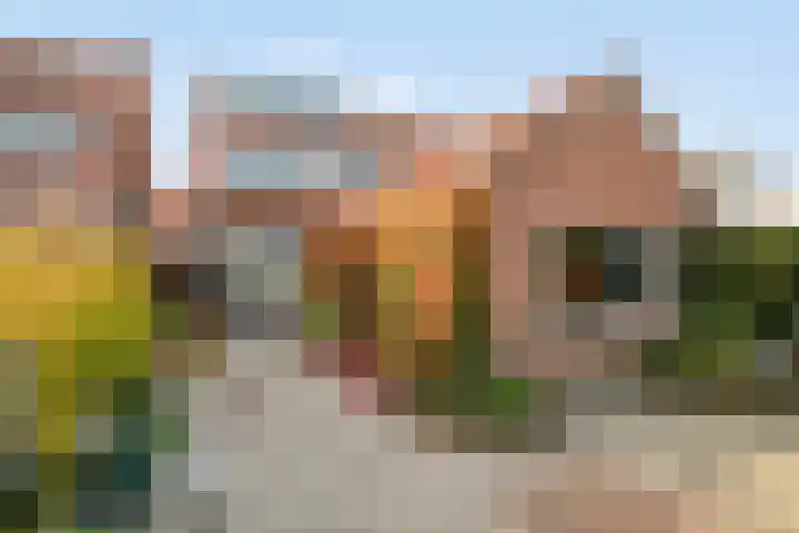 Vogelzangsweg 12 Goes thumbnail 4