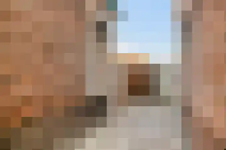 Vogelzangsweg 12 Goes thumbnail 40