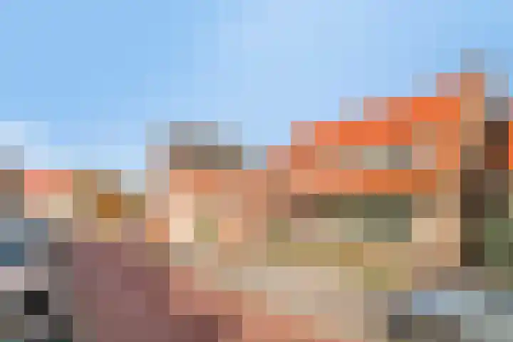 Vogelzangsweg 12 Goes thumbnail 41